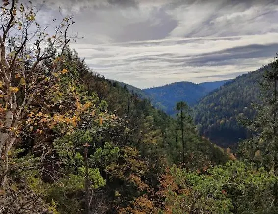 别墅 Letnisko Z Sauna I Balia *